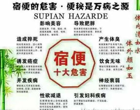 解析隨便果產業(yè)鏈 從深圳工廠到代理模式的全景透視